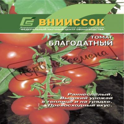 Томат Благодатный, 10 шт семян (Лучшая цена)