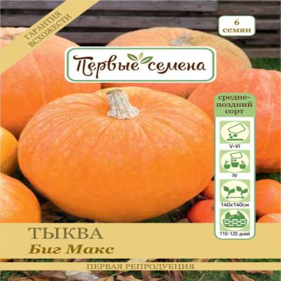 Тыква крупноплодная Биг Макс, 6 шт семян (Лучшая цена)