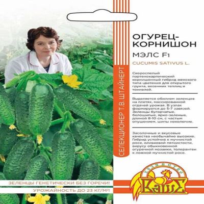 Огурец Мэлс — корнишон F1, 5 шт семян (Авторская селекция Штайнерт Т.В.) (Лучшая цена)