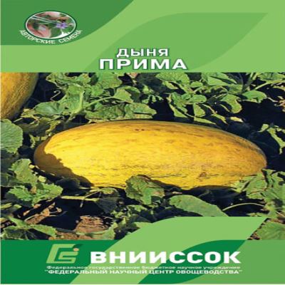 Дыня Прима, 10 шт семян (Лучшая цена)