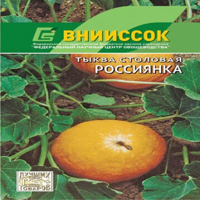 Тыква столовая Россиянка, 10 шт семян (Лучшая цена)