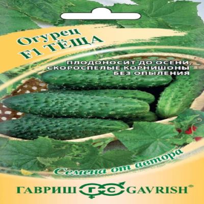Огурец Теща F1, 10 шт семян (Лучшая цена)