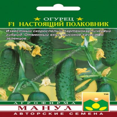 Огурец Настоящий полковник F1, 10 шт семян (Лучшая цена)