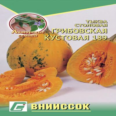 Тыква столовая Грибовская кустовая 189, 10 шт семян (Лучшая цена)