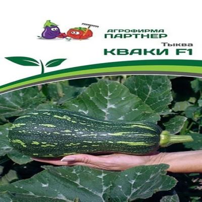 Тыква Кваки, 5 шт семян (Лучшая цена)