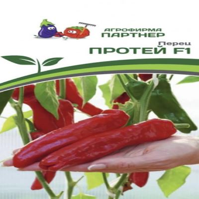 Перец сладкий Протей F1, 5 шт семян (Лучшая цена)