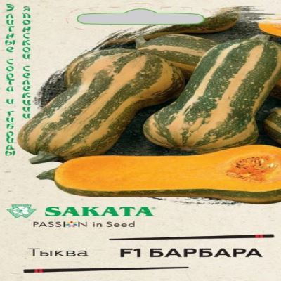 Тыква мускатная Барбара F1, 5 шт семян (Лучшая цена)