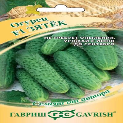 Огурец Зятек F1, 10 шт семян (Лучшая цена)