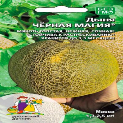 Дыня Чёрная магия, 10 шт семян (Лучшая цена)