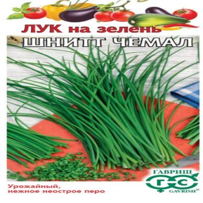 Лук на зелень шнитт Чемал, 0.5 г (Лучшая цена)