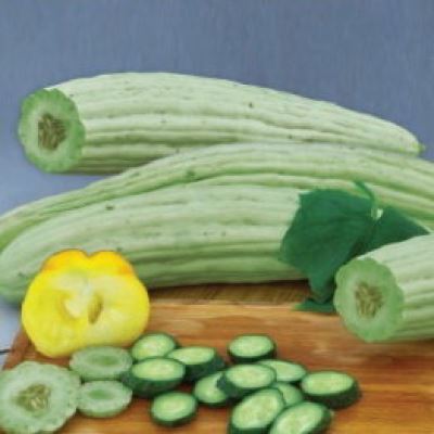 Дыня Армянский огурец Богатырь белый, 0.5 г (Лучшая цена)