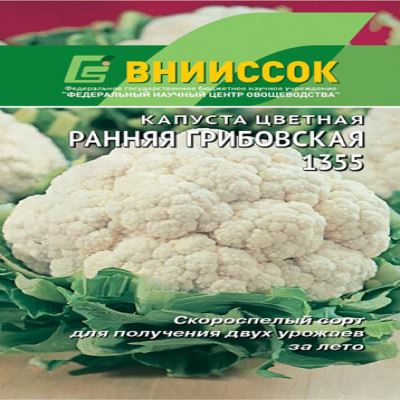 Капуста цветная Ранняя Грибовская 1355, 0.2 г (Лучшая цена)