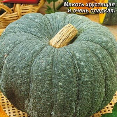 Тыква крупноплодная Мраморная, 2 г (Лучшая цена)