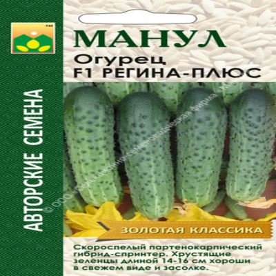 Огурец Регина-плюс F1, 12 шт семян (Лучшая цена)