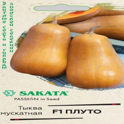 Тыква мускатная Плуто F1, 3 шт семян (Лучшая цена)