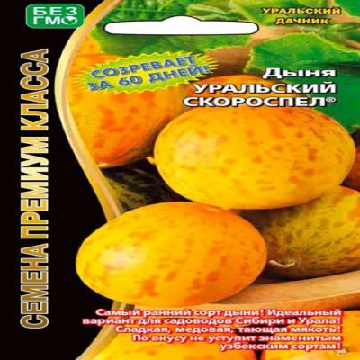 Дыня Уральский скороспел, 6 шт семян (Лучшая цена)