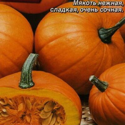 Тыква крупноплодная Сладкий пирог (Лучшая цена)