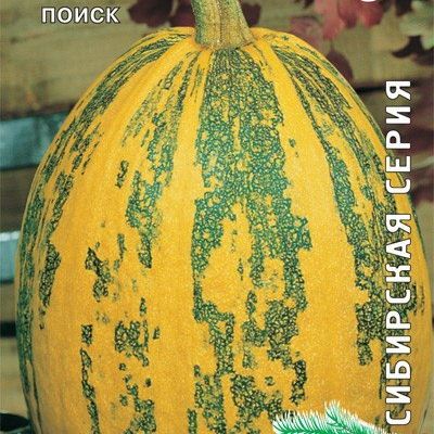 Тыква твердокорая Дачная (Лучшая цена)