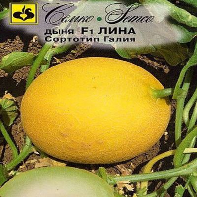 Дыня Лина F1, 5 шт семян (Лучшая цена)