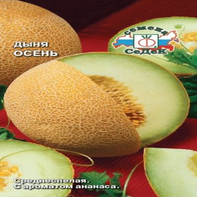 Дыня Осень (Лучшая цена)