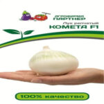 Лук репчатый Комета F1, 0.5 г (Лучшая цена)