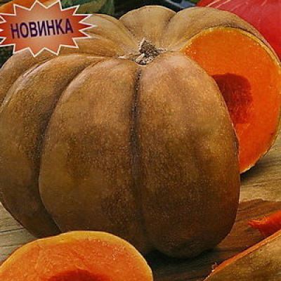 Тыква мускатная Большой шлем, 1 г (Лучшая цена)