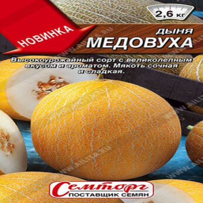 Дыня Медовуха, 1 г (Лучшая цена)