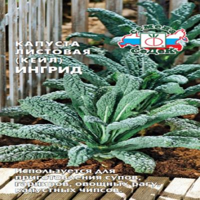 Капуста листовая (кейл) Ингрид, 0.3 г (Лучшая цена)