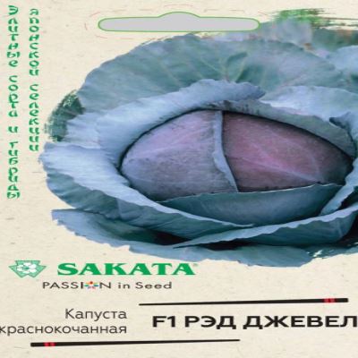 Капуста к/к Рэд Джевел F1, 10 шт семян (Лучшая цена)