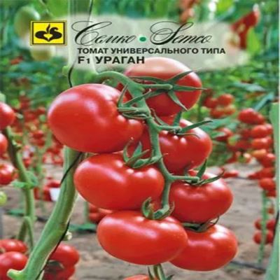 Томат Ураган F1, 10 шт семян (Лучшая цена)