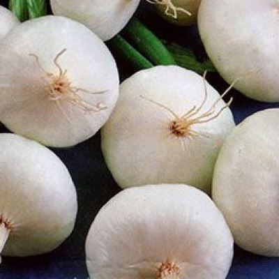 Лук репчатый Баночный консервный, 0.5 г (Лучшая цена)